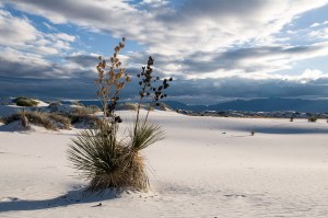White Sands National Monument, Alamogordo (New Mexico)