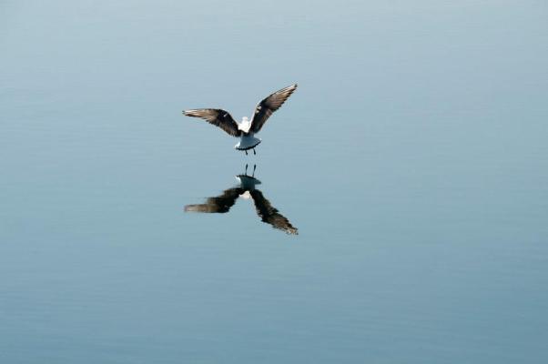 "Spread your wings  and leave your worries behind" (Pink Cream 69 - Spread your wings)