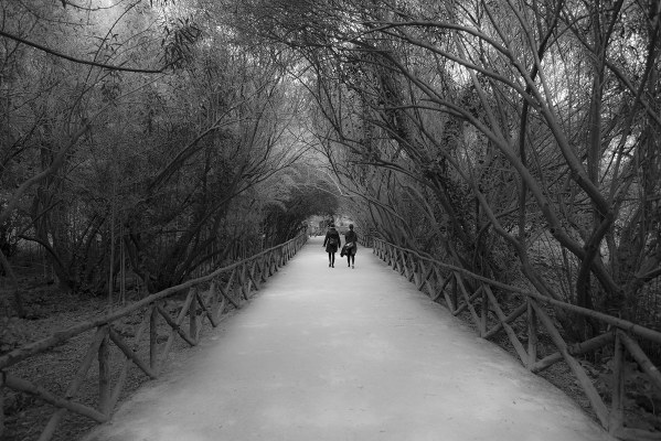 "There's a pathway leading there with a haunting chill in the air" (Dream Theater - Strange deja vu)