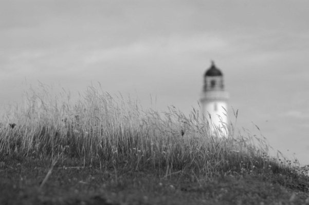 "Shed your light on me be my eyes when I can't see shed your light on me be my guide so I can see the bigger picture" (Dream Theater - The bigger picture"