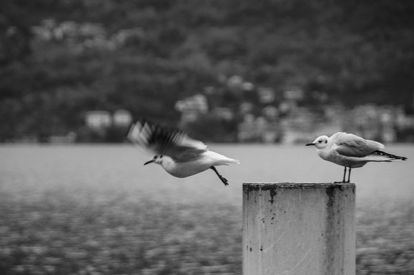 "Follow me and I will guarantee your life will never be the same" (Gamma Ray -  Follow me)