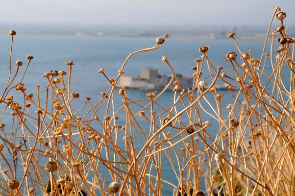 "Be my island, show me sun, give me sand to walk upon" (Balance of power - Blind man)