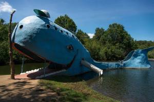 La Blue Whale