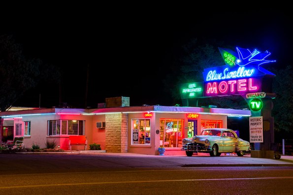 Blue_Swallow_DSC_5547