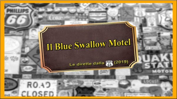 Blue_Swallow_2019